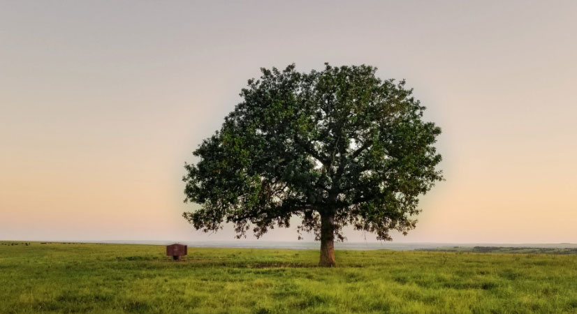 肩負重擔 推動我國經(jīng)濟、社會<br>環(huán)境全面協(xié)調(diào)可持續(xù)發(fā)展