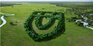 健康是“檢驗(yàn)”出來的！2022年度世友地板市場抽檢報(bào)告公布